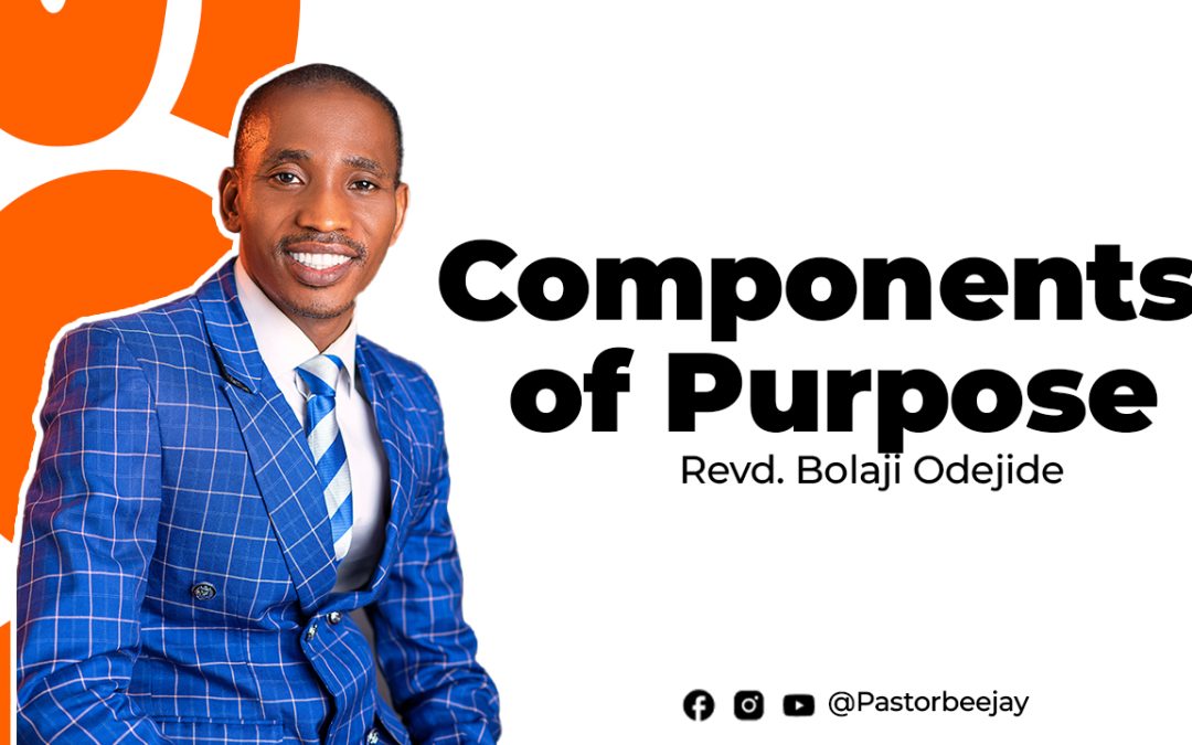 Components of Purpose