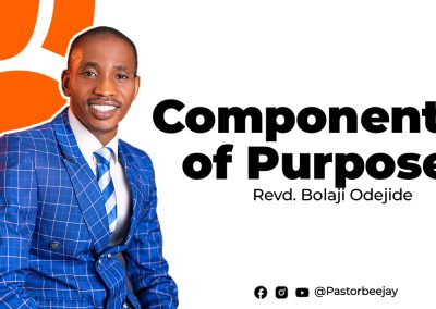 Components of Purpose