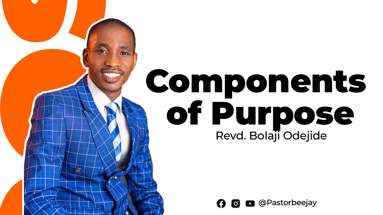 Components of purpose