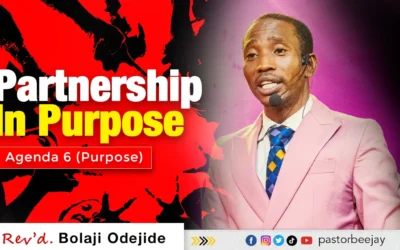 Partnership in Purpose